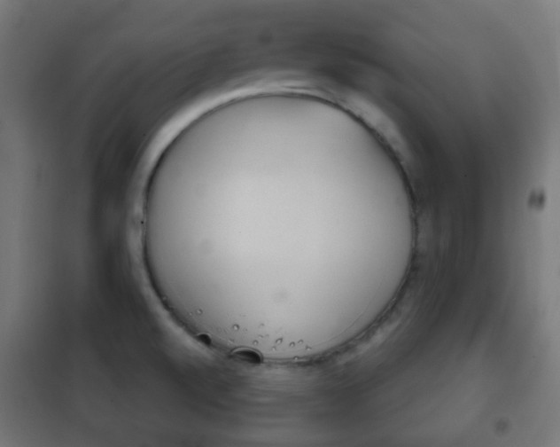 X0000102241520200807250826
