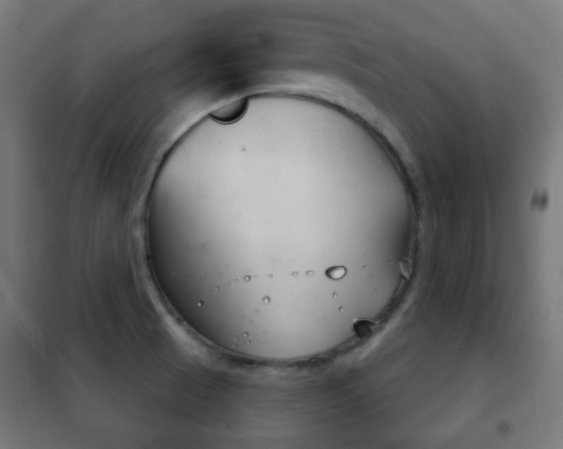 X0000102241521200807250826