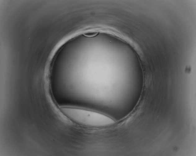 X0000102241522200807250826