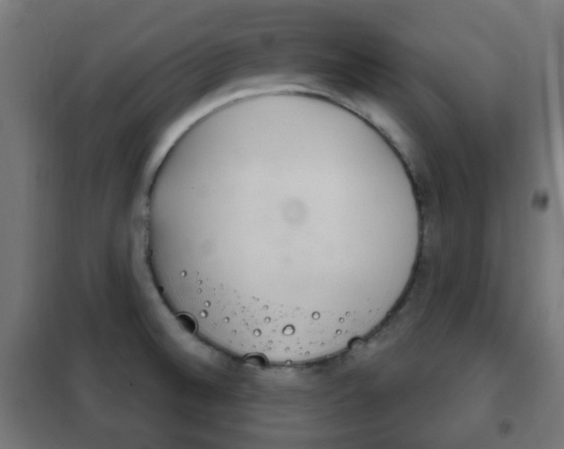 X0000102241524200807250826