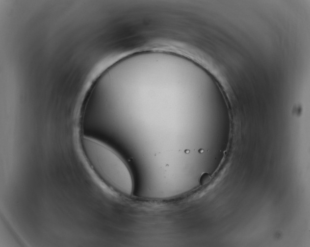 X0000102241525200807250826