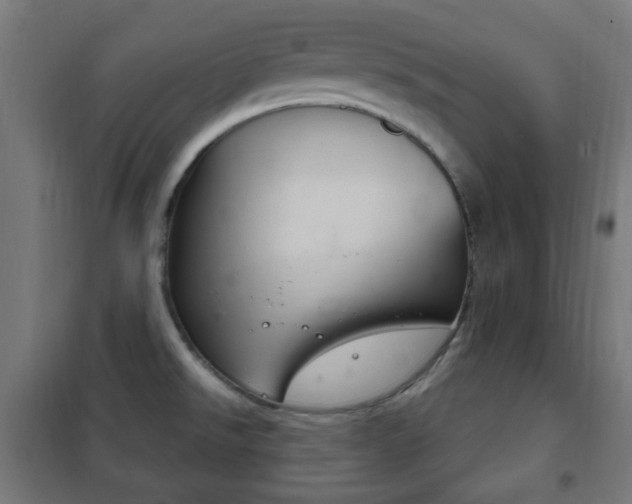 X0000102241526200807250826