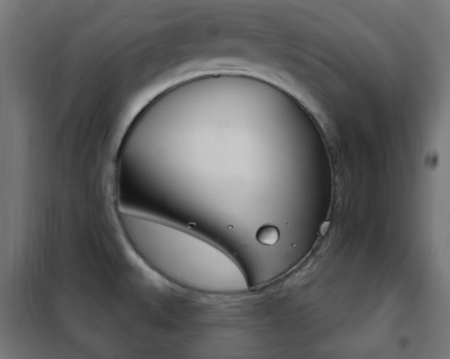 X0000102241527200807250826