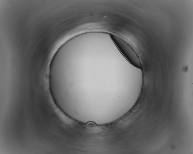 X0000102241528200807250826