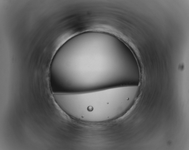 X0000102241529200807250826