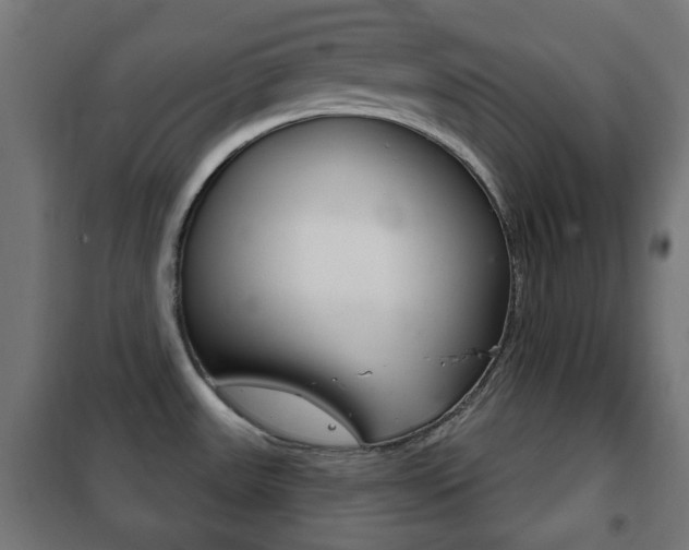 X0000102241531200807250826