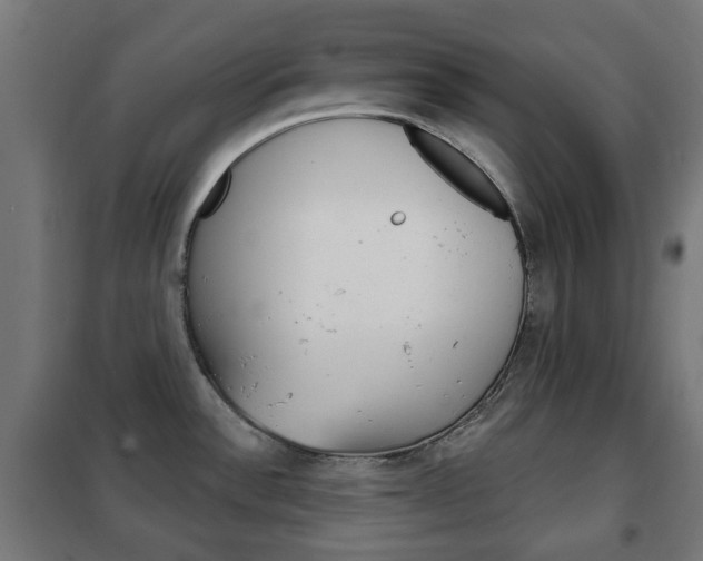X0000102241532200807250826