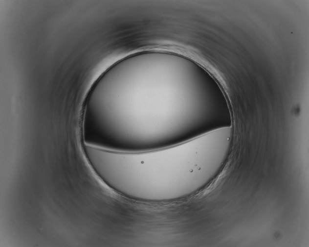 X0000102241533200807250826
