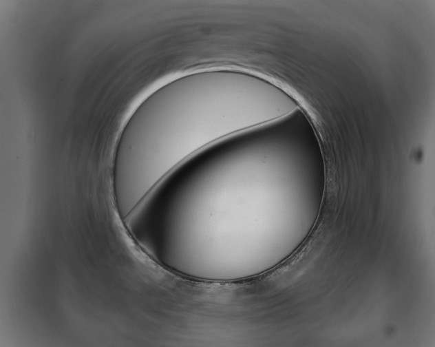 X0000102241534200807250826