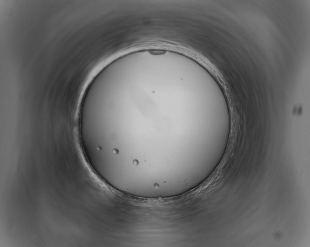 X0000102241536200807250826