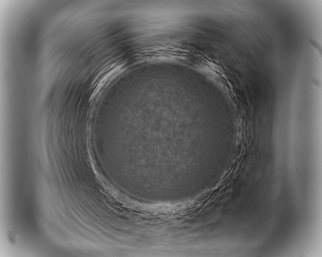 X0000102240001200807251310