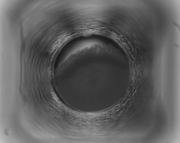 X0000102240002200807251310