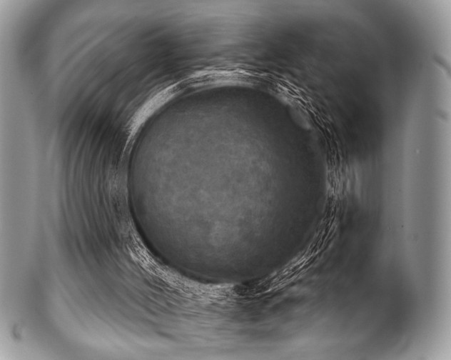 X0000102240004200807251310