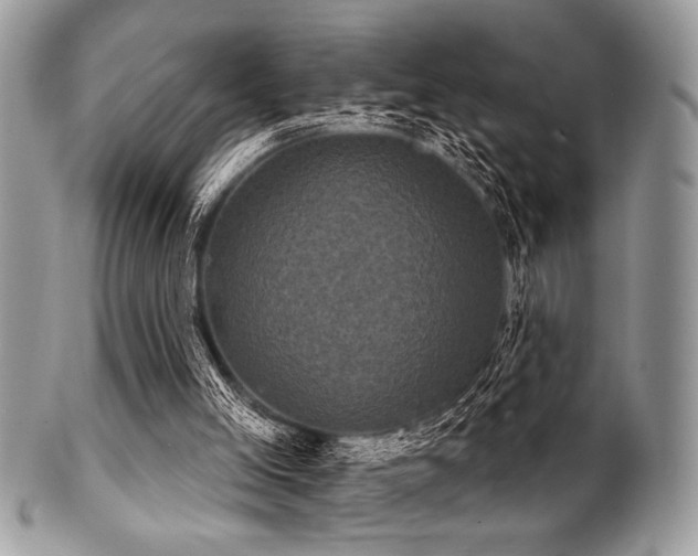 X0000102240005200807251310