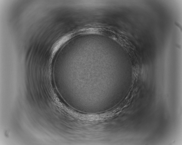 X0000102240006200807251310