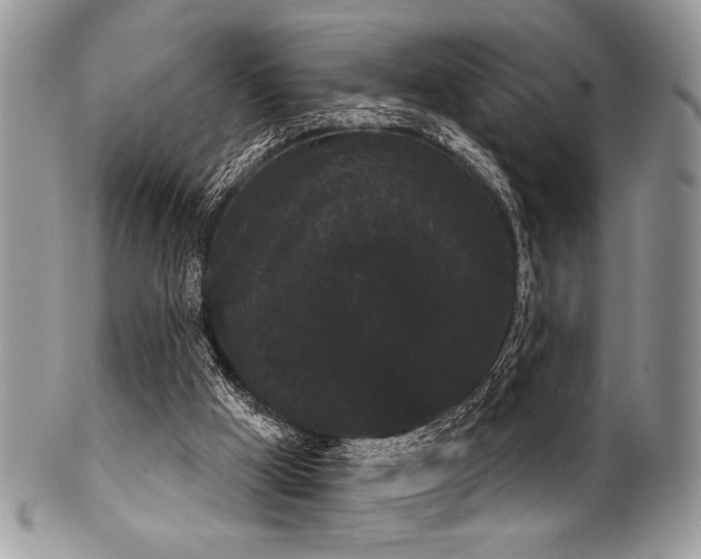 X0000102240009200807251310