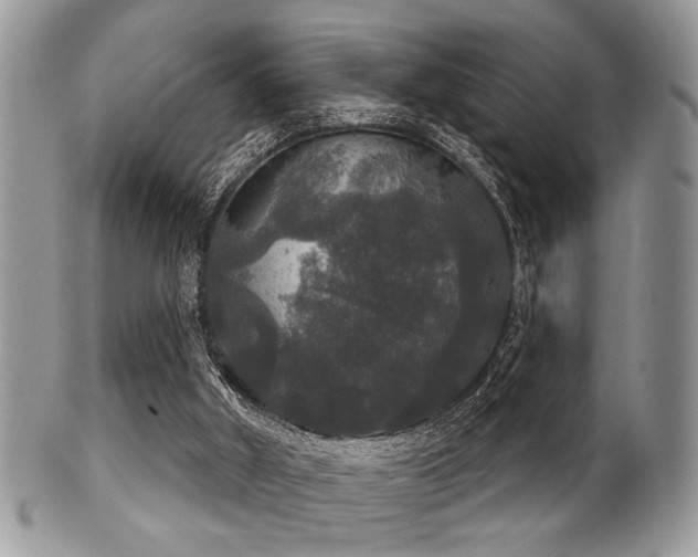 X0000102240010200807251310