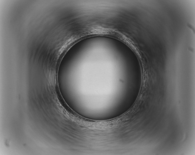 X0000102240011200807251310