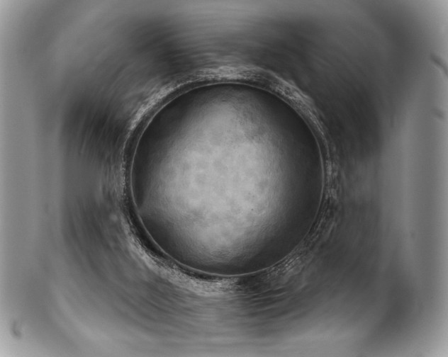 X0000102240012200807251310