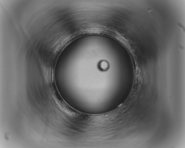 X0000102240013200807251310