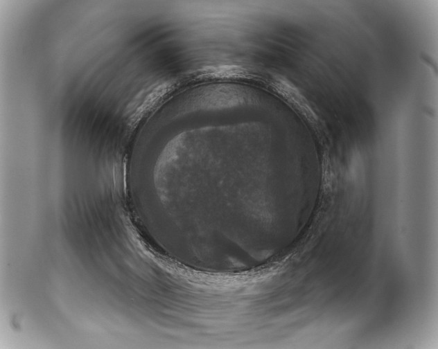 X0000102240014200807251310