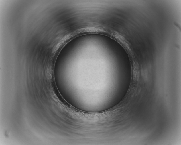 X0000102240015200807251310