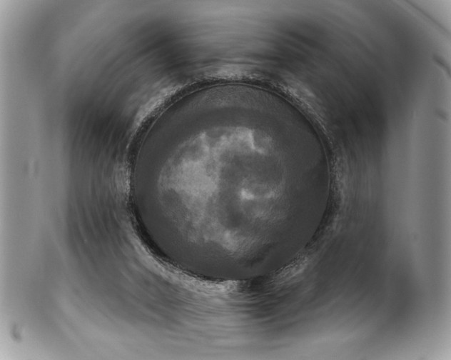 X0000102240016200807251310