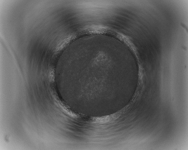 X0000102240017200807251310