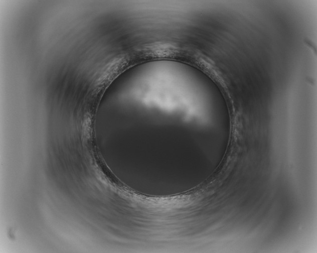 X0000102240018200807251309