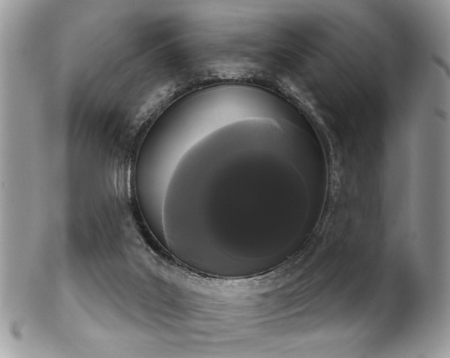 X0000102240019200807251309