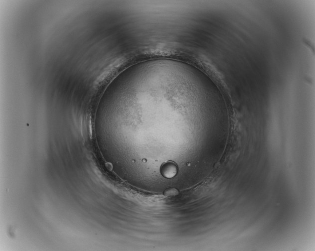 X0000102240020200807251309