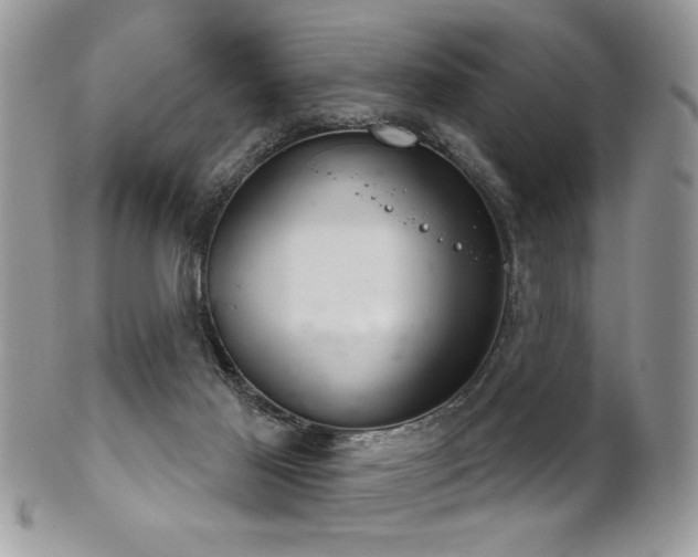 X0000102240021200807251309