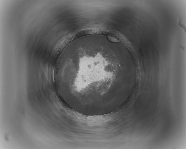 X0000102240022200807251309