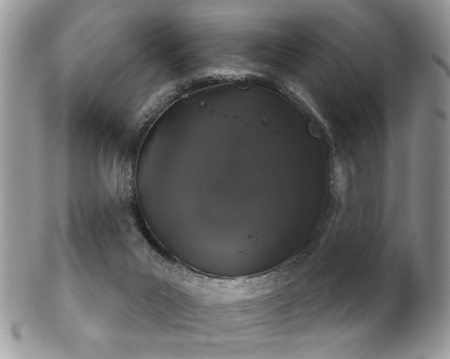 X0000102240023200807251309