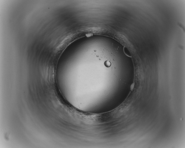 X0000102240024200807251309