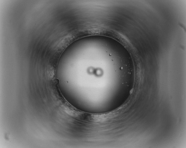 X0000102240025200807251309