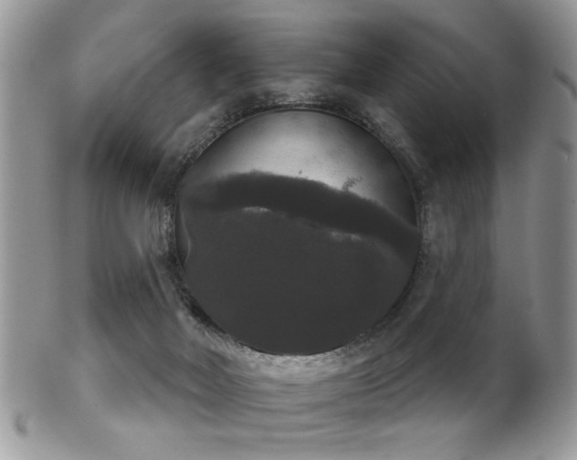 X0000102240026200807251309