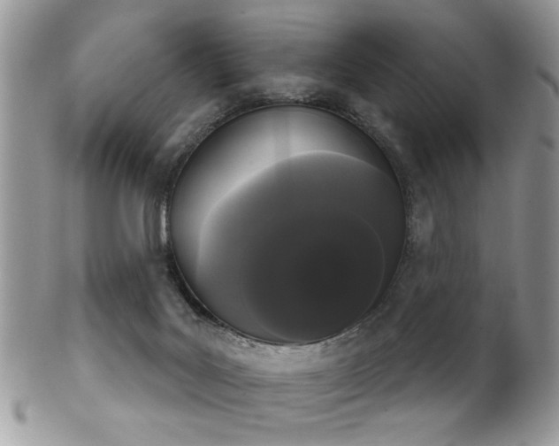 X0000102240027200807251309