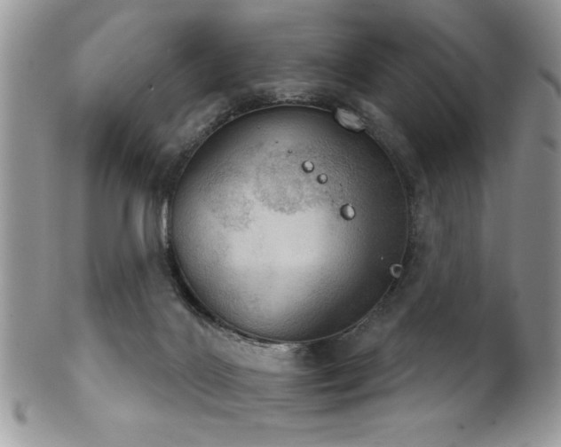 X0000102240028200807251309