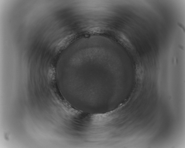 X0000102240029200807251309