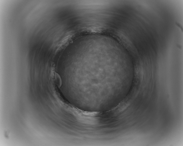 X0000102240032200807251309