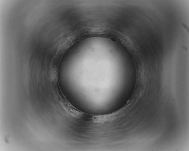 X0000102240033200807251309