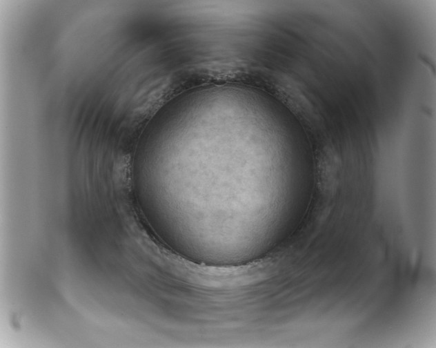 X0000102240034200807251309