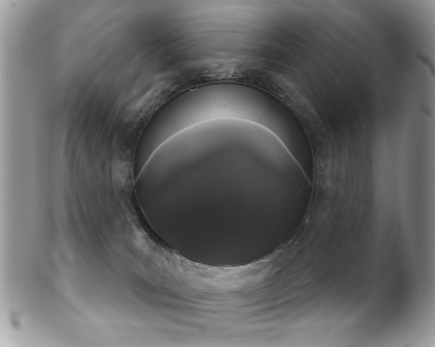 X0000102240035200807251309