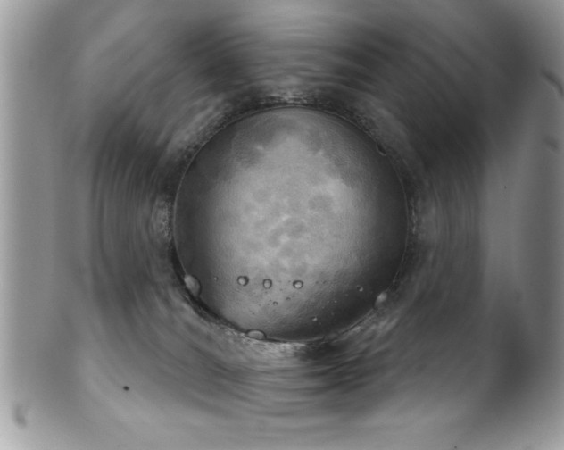 X0000102240036200807251309