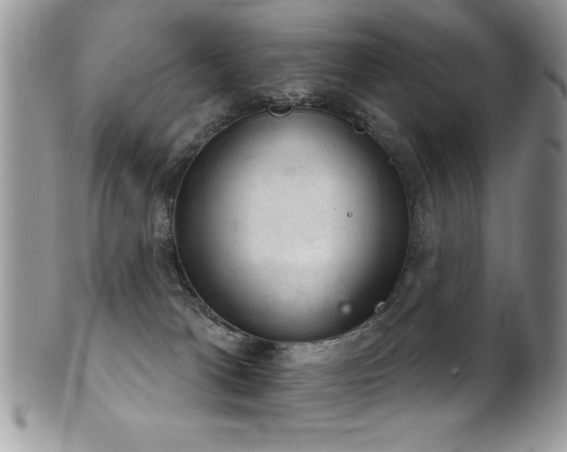 X0000102240037200807251309