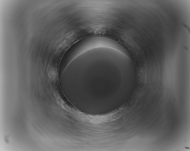 X0000102240039200807251309