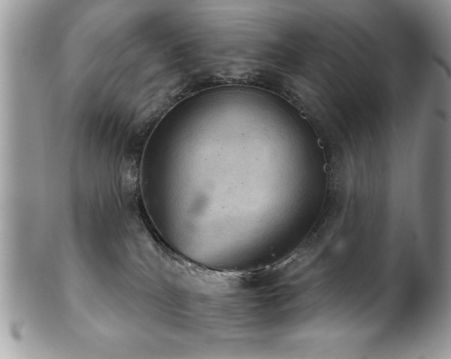 X0000102240040200807251309