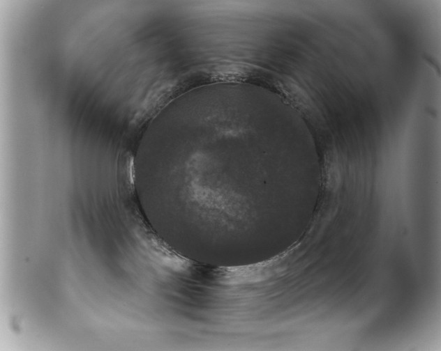 X0000102240041200807251309