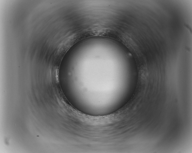 X0000102240042200807251309